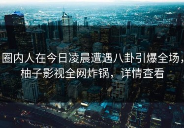 圈内人在今日凌晨遭遇八卦引爆全场，柚子影视全网炸锅，详情查看