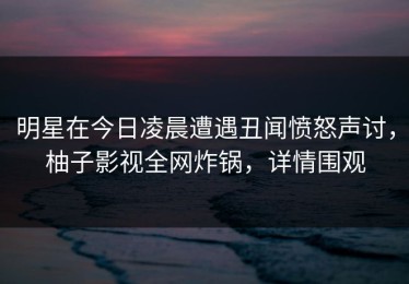 明星在今日凌晨遭遇丑闻愤怒声讨，柚子影视全网炸锅，详情围观