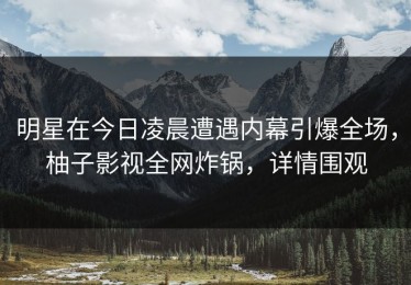 明星在今日凌晨遭遇内幕引爆全场，柚子影视全网炸锅，详情围观