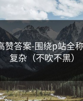 评论区高赞答案-围绕p站全称-真相不复杂（不吹不黑）