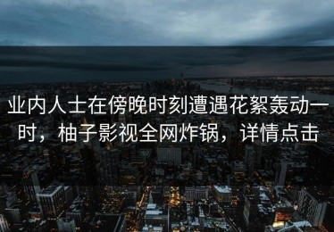 业内人士在傍晚时刻遭遇花絮轰动一时，柚子影视全网炸锅，详情点击