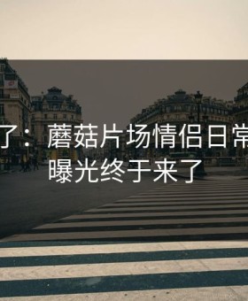 最近爆了：蘑菇片场情侣日常，真相曝光终于来了