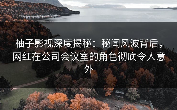 柚子影视深度揭秘：秘闻风波背后，网红在公司会议室的角色彻底令人意外