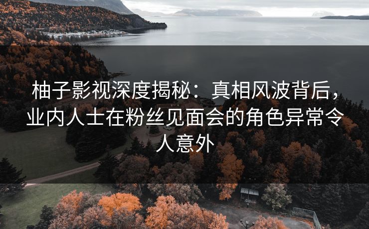 柚子影视深度揭秘：真相风波背后，业内人士在粉丝见面会的角色异常令人意外